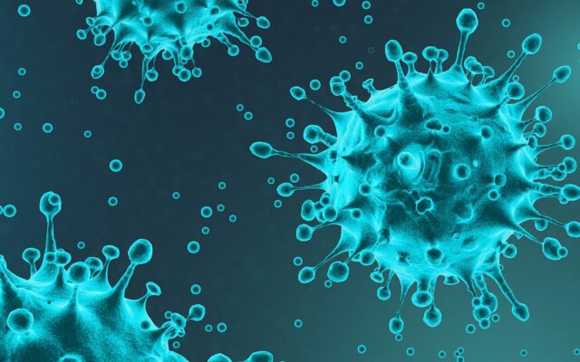 Germs