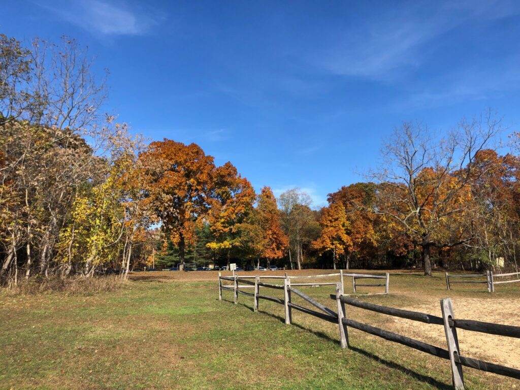 Autumn leaves and an old fence at Blydenburgh County Park in Smithtown, Long Island, New York
